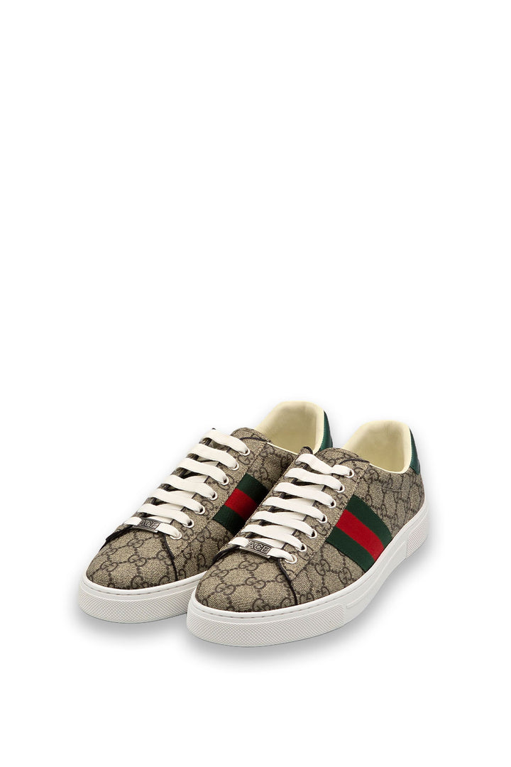 TENIS GUCCI ACE KHAKI
