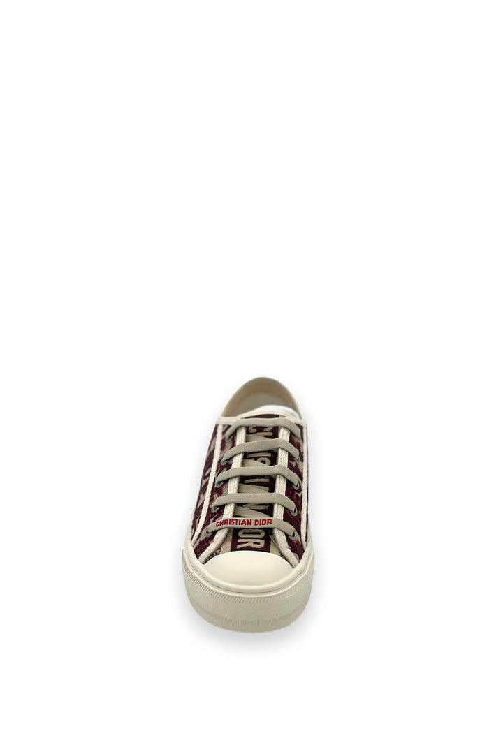 TENIS DIOR WALK&