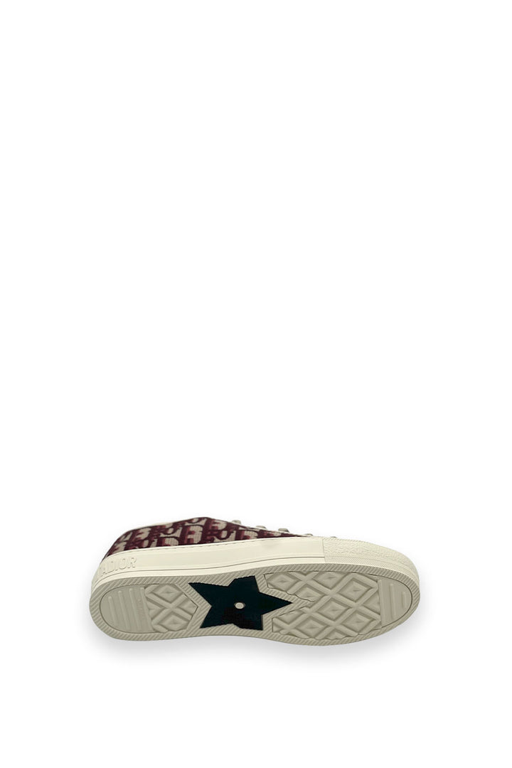 TENIS DIOR WALK&