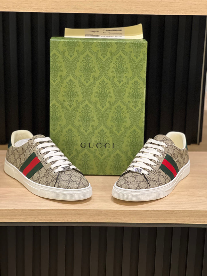 TENIS GUCCI ACE KHAKI