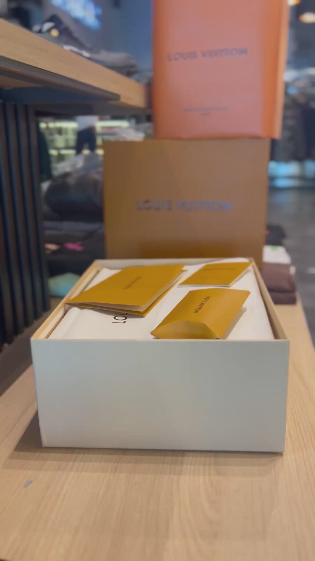 LV TRAINER DELINEADO
